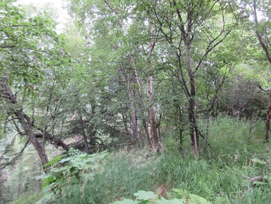 bluff line