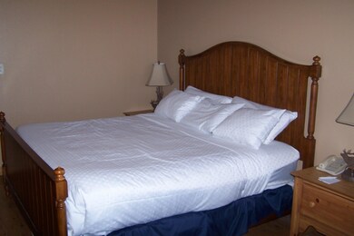 223 W Hunter Ridge Dr unit b313 Cedar Breaks L, Brian Head, UT 84719 - photo 3