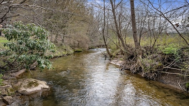 390 Sunny Brook Rd, Blue Ridge, GA 30513 - photo 7