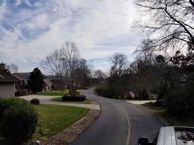 233 Dudala Way, Loudon, TN 37774 - photo 4