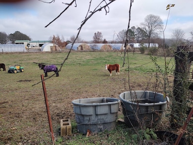 340 India Rd, Paris, TN 38242 - photo 5