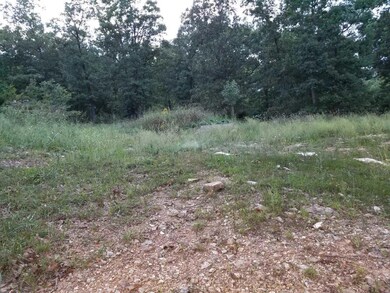 165 Ramona Ln, Kimberling City, MO 65686 - photo 2