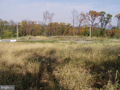 317 Wildflower Dr, East Earl, PA 17519 - photo 2