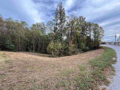 0 Cool Springs Rd unit RA20256983, Morgantown, KY 42261 - photo 7