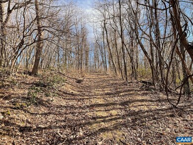 0 Rockledge Rd unit 661313, Afton, VA 22920 - photo 2