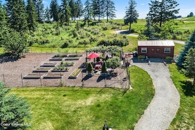 Raised beds, and Fruit trees