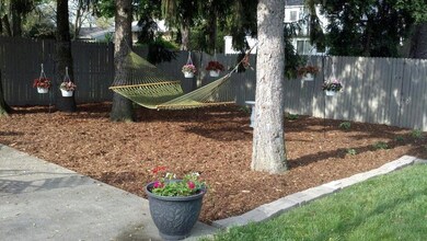 Backyard Oasis