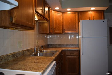 9 Eisenhower Dr, Jacksonville, IL 62650 - photo 6