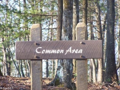 146 Fox Squirrel Cir, McGrady, NC 28649 - photo 2