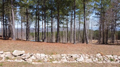 340 Lookout View Dr, Jasper, TN 37347 - photo 3