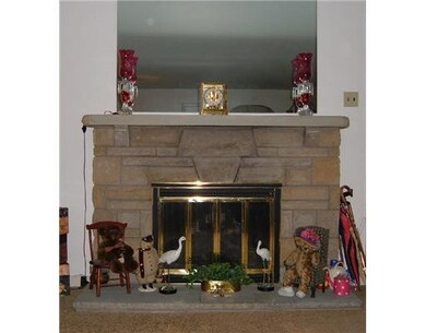Other. Stone Gas Fireplace
