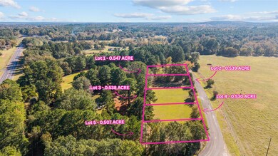 TBD County Road 2174 Lot 3, Whitehouse, TX 75791 - photo 2