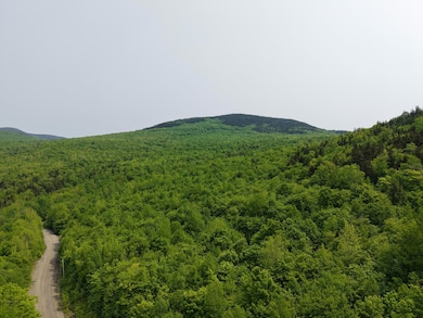 DJI_20250604105851_0015_D