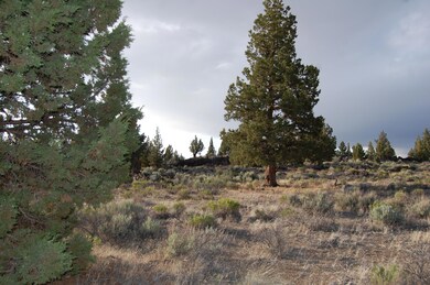 Phillips Hwy 20 5