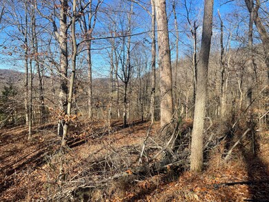 14645 Morehead Rd, Wallingford, KY 41093 - photo 4