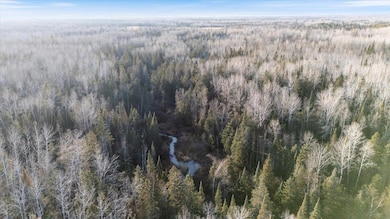 TBD County Road 103, Mahtowa, MN 55707 - photo 6