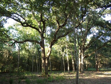 30954 Hegar Rd, Hockley, TX 77447 - photo 5