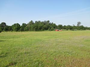 Stone Meadow - 8