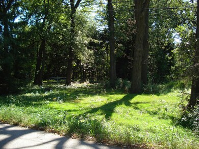 9513-17 Forest Place, Des Plaines, IL 60016 - photo 2