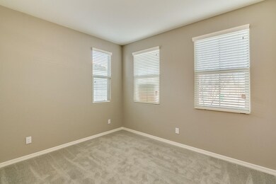Woodlands-006