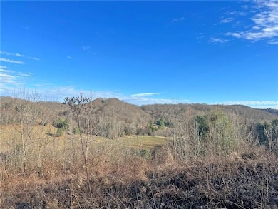 0 Tbd Beechwood Rd unit 25, Clyde, NC 28721 - photo 2