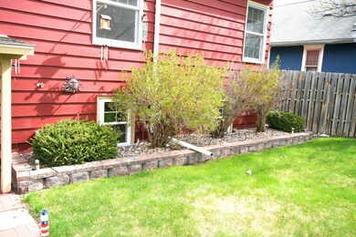 Back landscaping