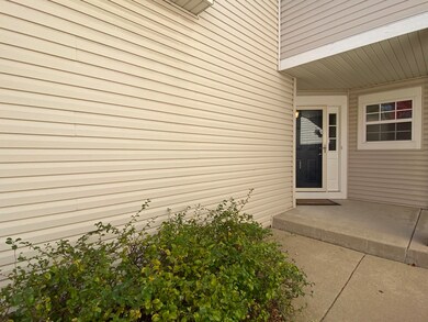 210 Dorset Ave, Oswego, IL 60543 - photo 4