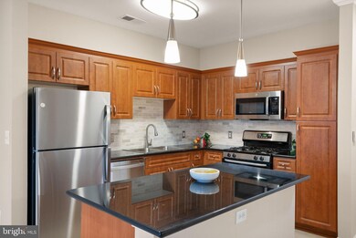 Bryson At Woodland Park unit 401, Herndon, VA 20171 - photo 4