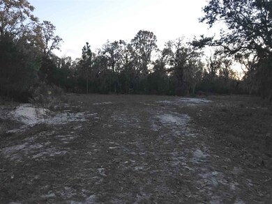 0 Parente Place unit 288284, Perry, FL 32348 - photo 3