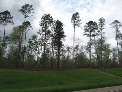 5.49 ac Farm To Market 225, Nacogdoches, TX 75964 - photo 4