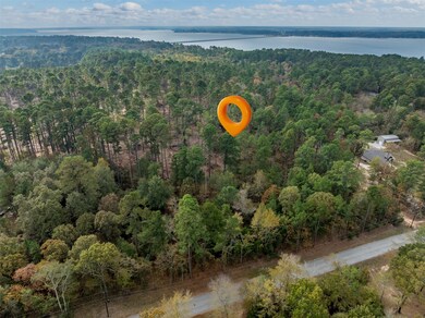 Lot 11 Pintail Dr, Flint, TX 75762 - photo 6