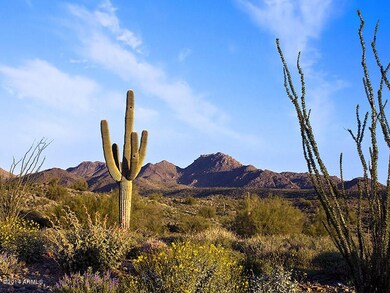 Eagles Nest Desert View
