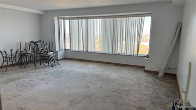 Carpeted dining room with plenty of natural light