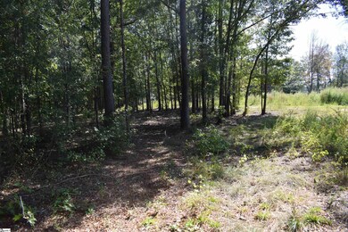 0 Lyman Lodge Rd, Lyman, SC 29365 - photo 7