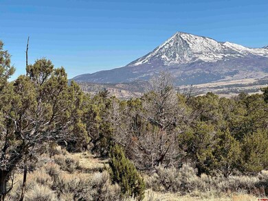 38.06 tbd Black Bear Trail, Crawford, CO 81415 - photo 5
