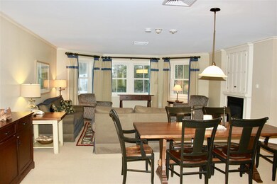 Jackson Gore Village unit 735, Ludlow, VT 05149 - photo 6