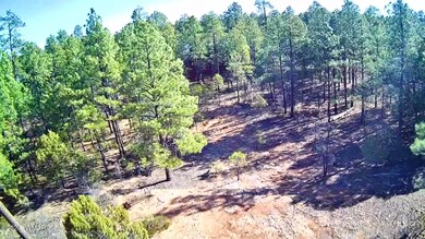 1680 S Iris Ln, Show Low, AZ 85901 - photo 5