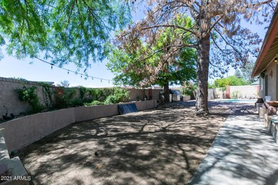 Oasis yard