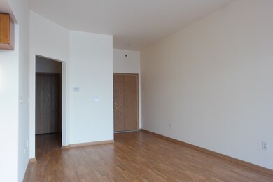 2322 S Canal St unit 709, Chicago, IL 60616 - photo 5