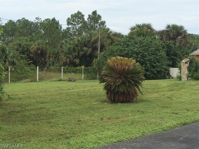 Front Yard - Left Side
