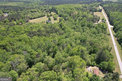 2310 Hollonville Rd, Williamson, GA 30292 - photo 4