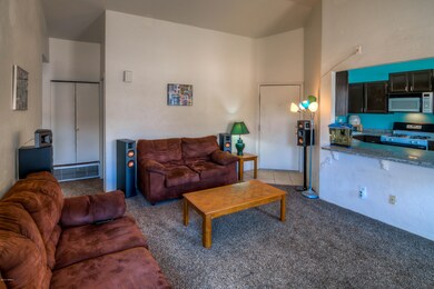 11 Living Room photo c