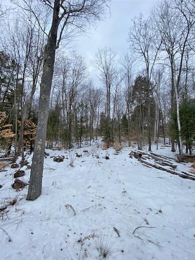 0 Mountain Rd unit 4844004, Center Tuftonboro, NH 03816 - photo 3