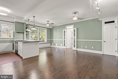 1404 26th St NW unit 1, Washington, DC 20007 - photo 3