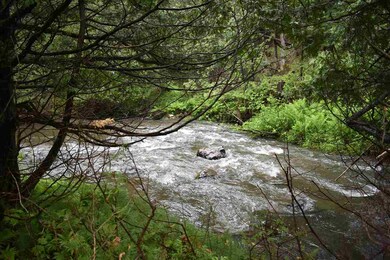 00 Chamberlain Hill, Albany, VT 05820 - photo 2