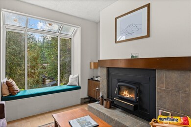 10500 Mt Baker Hwy unit 123, Deming, WA 98244 - photo 4