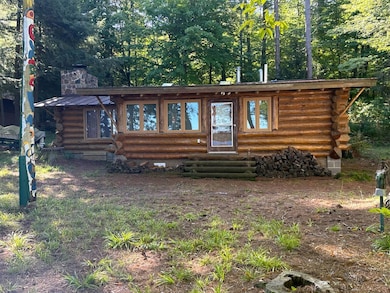 7352 N Chippewa Flowage Rd, Couderay, WI 54828 - photo 5