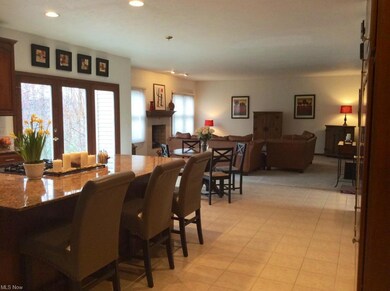 370 Walnut Ridge Trail, Aurora, OH 44202 - photo 5