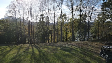 Rev. Parcel A1 Jennings Rd, Pulaski, VA 24301 - photo 2