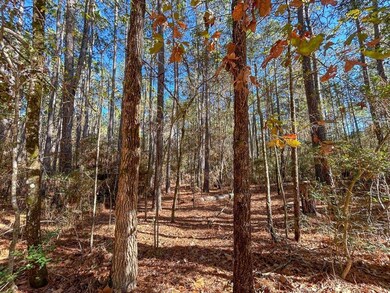 Forest Service Road 527, Apple Springs, TX 75926 - photo 7